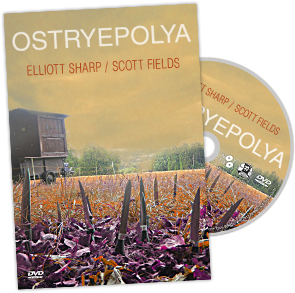 Elliott Sharp / Scott Fields – Ostryepolya DVD Elliott Sharp / Scott Fields – Ostryepolya DVD